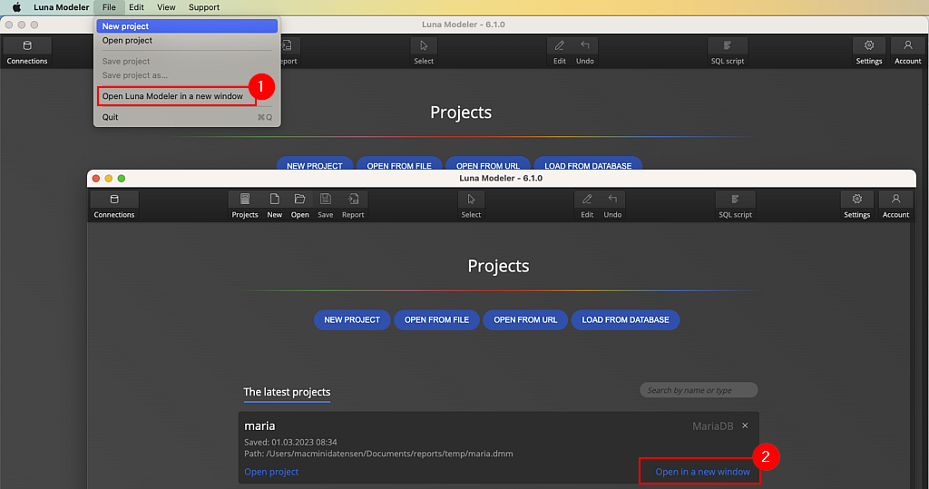 Running two instances of Luna Modeler on macOS