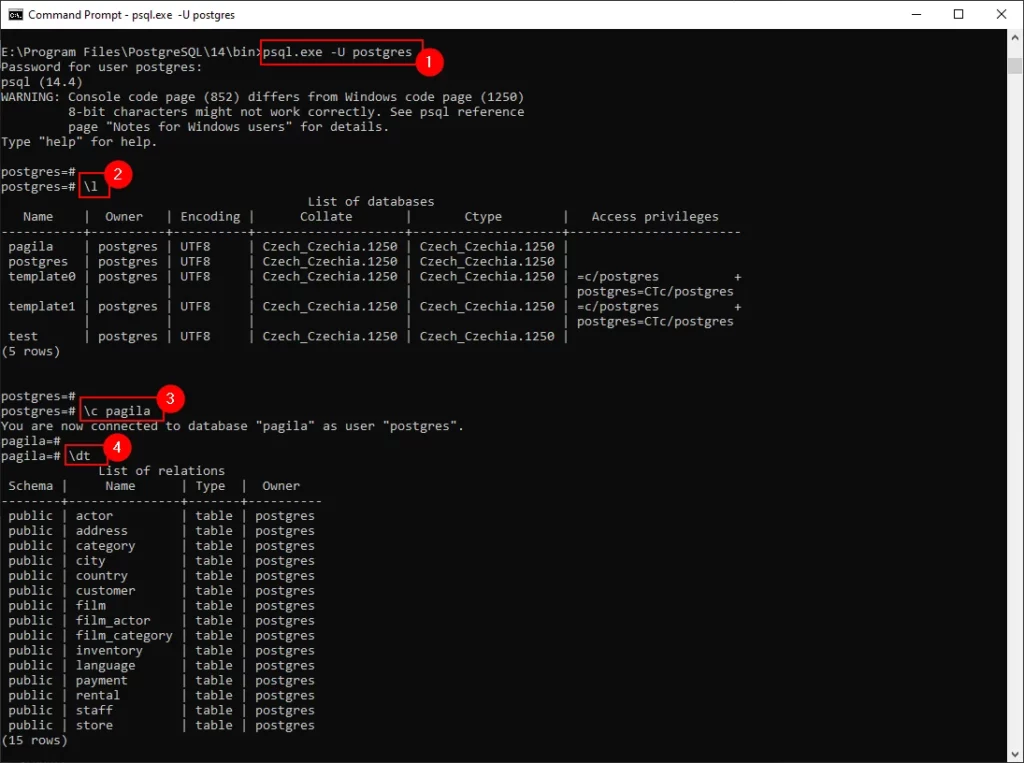 psql with the commands for showing database tables